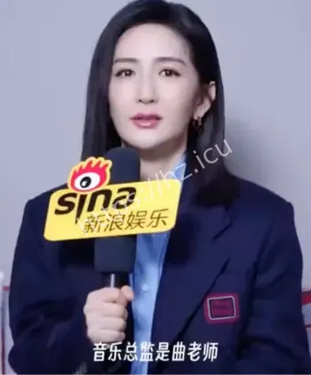 谢娜演唱会票价