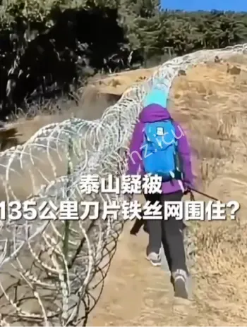 泰山135公里刀片刺绳隔离网